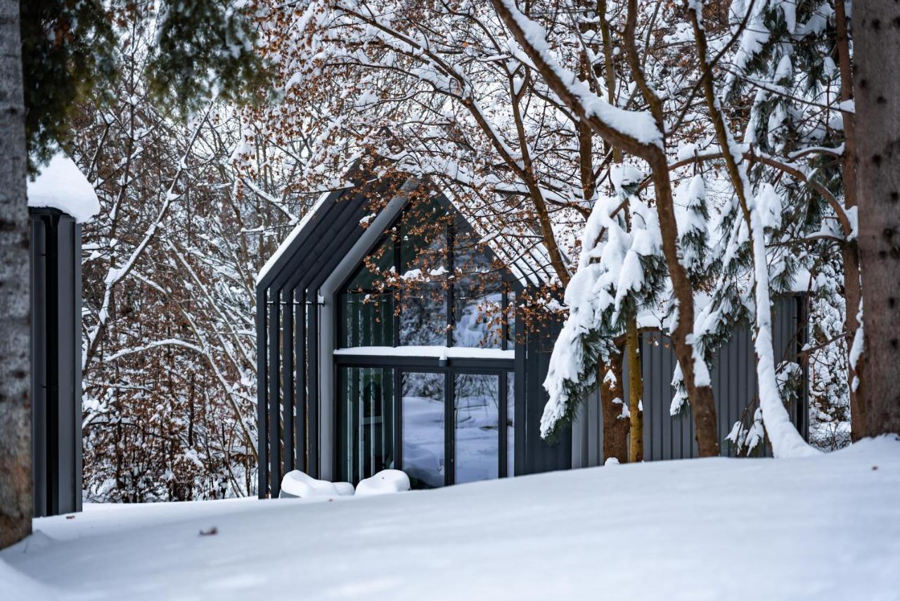 Projekt Cuberniok Chalet